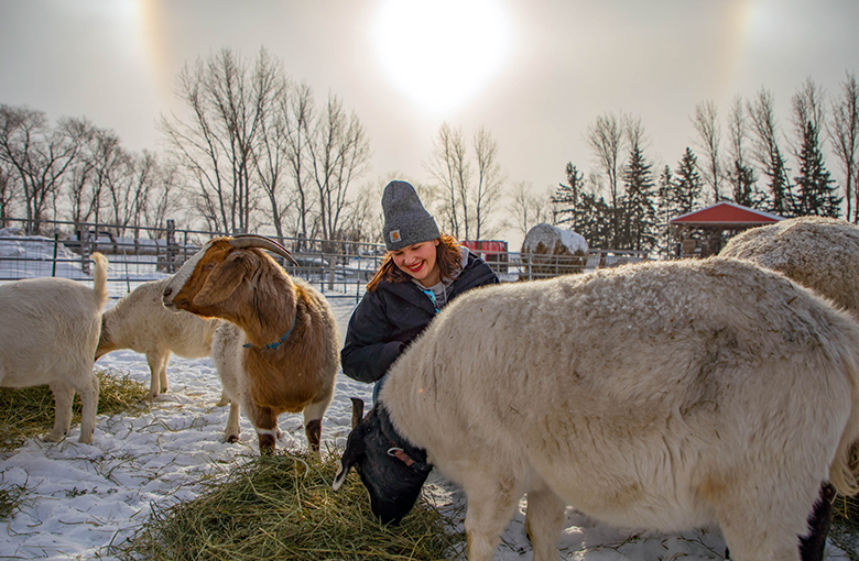 Northland Community & Technical College Animal Science student Catherine Marty